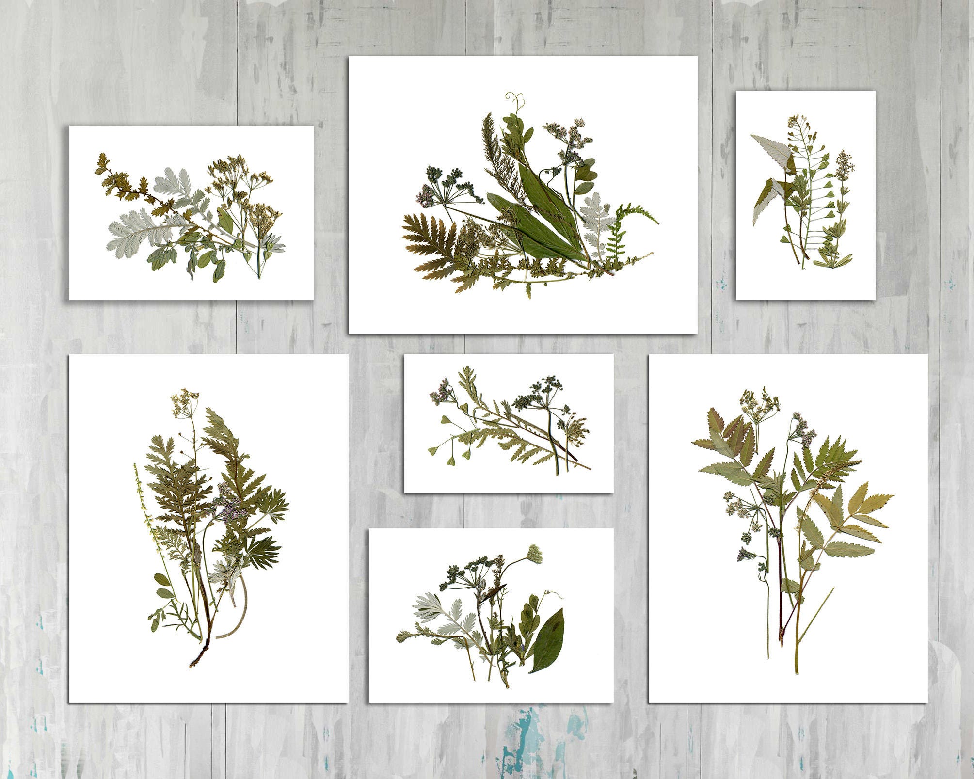 Botanical Print Set of 7 Plant Art Set of 7 Botanical Prints Etsy