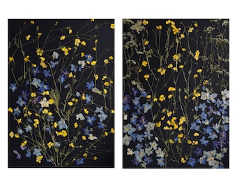 Dried flowers  art on the black, Blue and yellow pressed flowers art, Wildflower herbarium, Set of 2 floral pictures, nature art decor