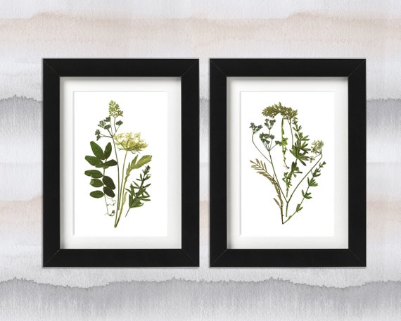 Framed Set of 2 Herbarium Botanical Prints Artworks Real Pressed Flowers Modern Wall Art Dry Flower Decor Unique Art Set Framed Wall Art Etsy
