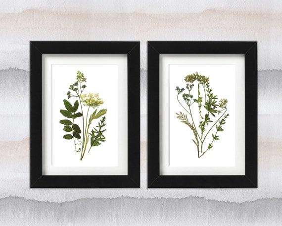 2 Vintage Framed Dried Pressed Flowers Wall Art Miniatures Germany