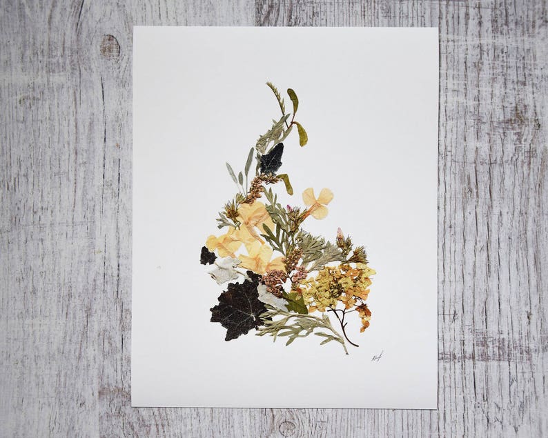 Dried flowers art print 8x10 Botanical print Floral decor Etsy