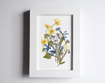 Framed Pressed Flower Art: Botanical Wall Decor, Blue Flowers