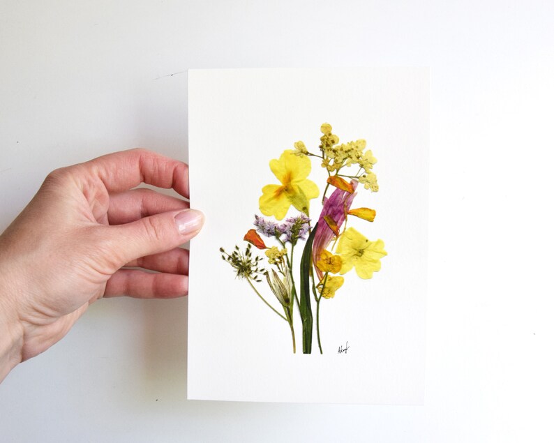 Puede incluir: Una impresi&oacute;n de arte de flores prensadas con un ramo de flores amarillas, naranjas y moradas sobre un fondo blanco. La impresi&oacute;n est&aacute; firmada "heft".