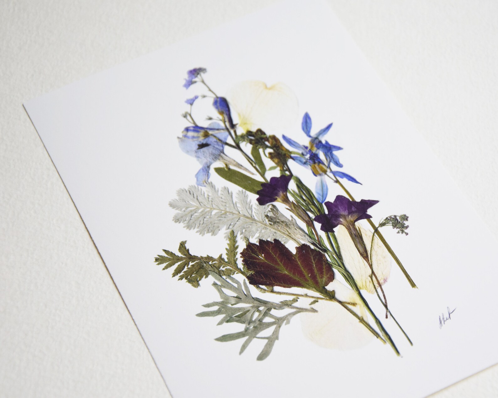 Botanical Print 5''x7'' Botanical Art Dried Etsy