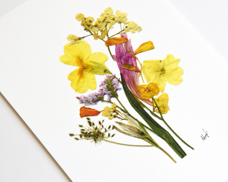Puede incluir: Una obra de arte de flores prensadas que presenta un ramo de flores amarillas, naranjas, rosas y blancas sobre un fondo blanco. Las flores est&aacute;n dispuestas en un estilo suelto y natural. La pieza est&aacute; firmada "hart" en la esquina inferior derecha.