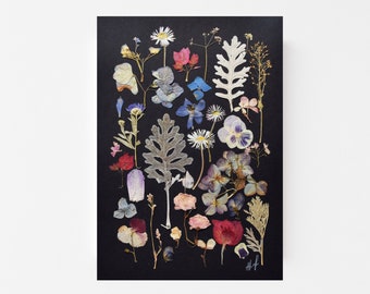 Art floral pressé : herbier sur fond noir, décoration murale florale