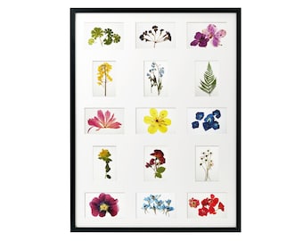Pressed Flower Print Set: 15 Botanical Fine Art Prints on Cotton Paper