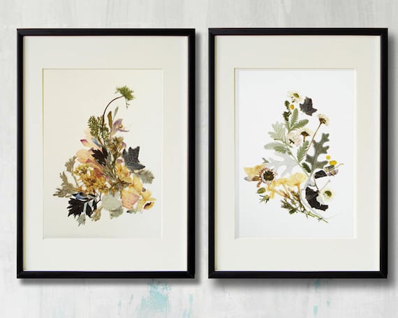 Set of 2 framed prints Plant art Contemporary art Dry flower decor Herbarium Pressed flower frame Floral print wall art framed floral prints