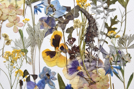 押し花アート：ボタニカルコラージュ、緑と黄色の植物（A4サイズ