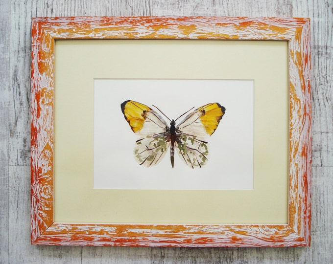 Original Butterfly Wall Art Pressed Flowers Art Botanical Decor Pressed Flowers Butterfly
