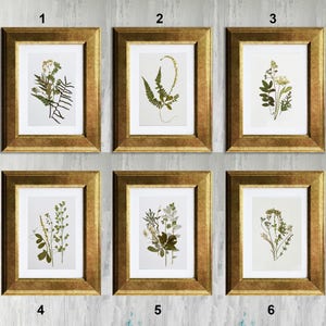 Set di 6 stampe botaniche incorniciate Stampe di fiori Arte con fiori pressati Decorazioni floreali Arte vegetale Opera d'arte botanica Fiori secchi Arte per il soggiorno