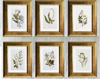 Set of 6 framed botanical prints  Flowers prints Pressed flowers art Flowers decor Plant art Botanical artwork Dried flowers Living room art