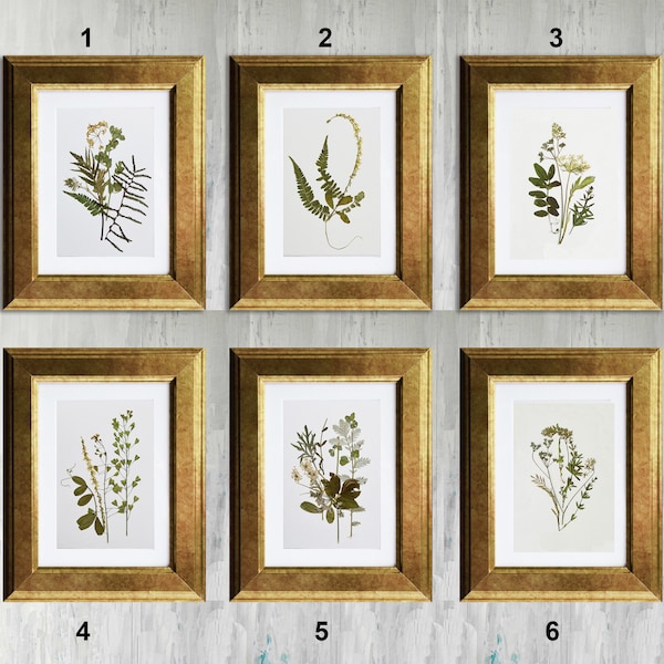 Botanical Art - Etsy