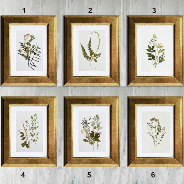 Set of 6 framed botanical prints  Flowers prints Pressed flowers art Flowers decor Plant art Botanical artwork Dried flowers Living room art