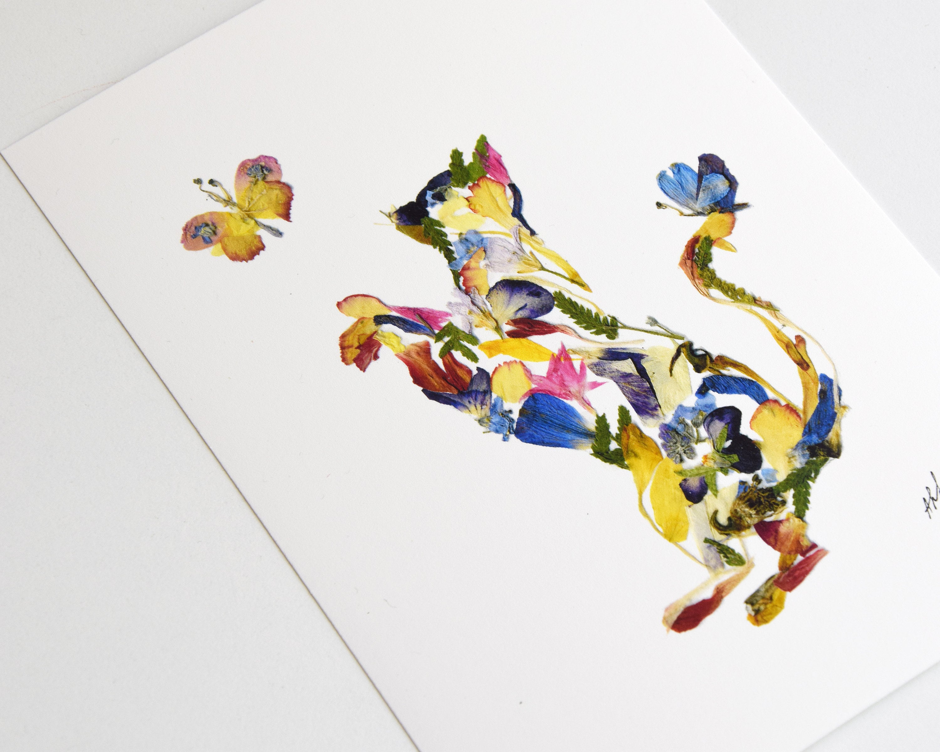 猫と花のアート作品 最近のにゃん活🐾 花房さくらさんの個展「ネコノパン工房」が