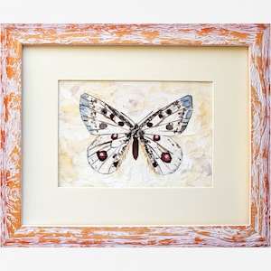 Framed pressed flower butterfly, Original dried flower artwork, framed butterfly art, Nature art, Flower picture