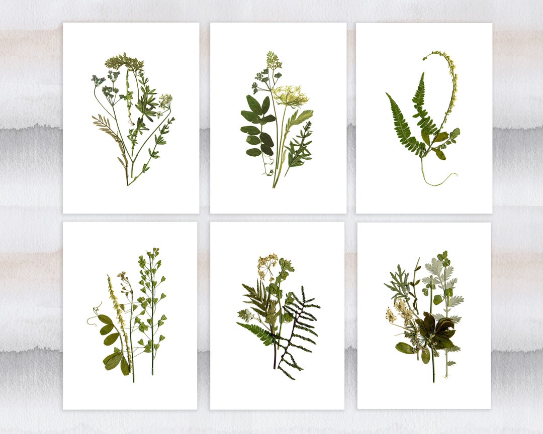 Set of 6 Botanical Prints 5''x7'' Flower Green Prints Unframed Pressed ...