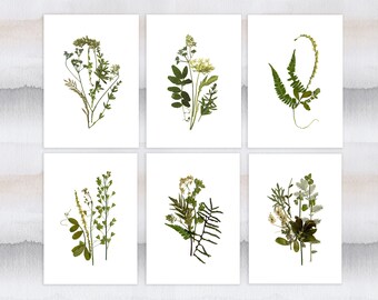 Set di 6 stampe botaniche 5''x7'' Stampe verde fiore Unframed Fiori pressati arte Decorazione floreale Pianta soggiorno immagini erbario