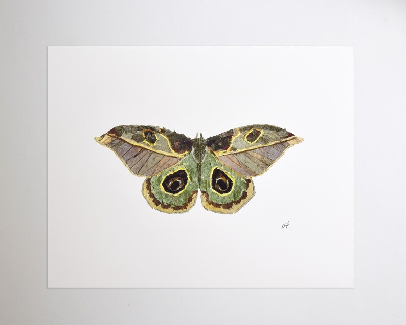 Print Botanical Butterfly Wall Art Pressed Flowers Butterfly Etsy