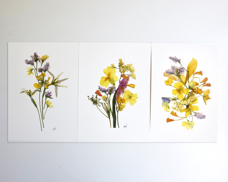Puede incluir: Tres impresiones enmarcadas de flores prensadas, cada una con una disposici&oacute;n diferente de flores amarillas, moradas y naranjas.