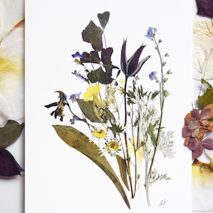 Stampa botanica 5''x7'' Arte botanica Fiori secchi Erbario Sala da pranzo Arte murale Arte floreale Arte vegetale Arte con fiori pressati Fiori secchi