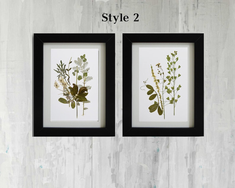 Set incorniciato di 2 stampe botaniche erbario opere d'arte Fiori pressati reali Arte murale moderna Decorazione floreale secca Arte unica set di arte incorniciata arte murale Style 2