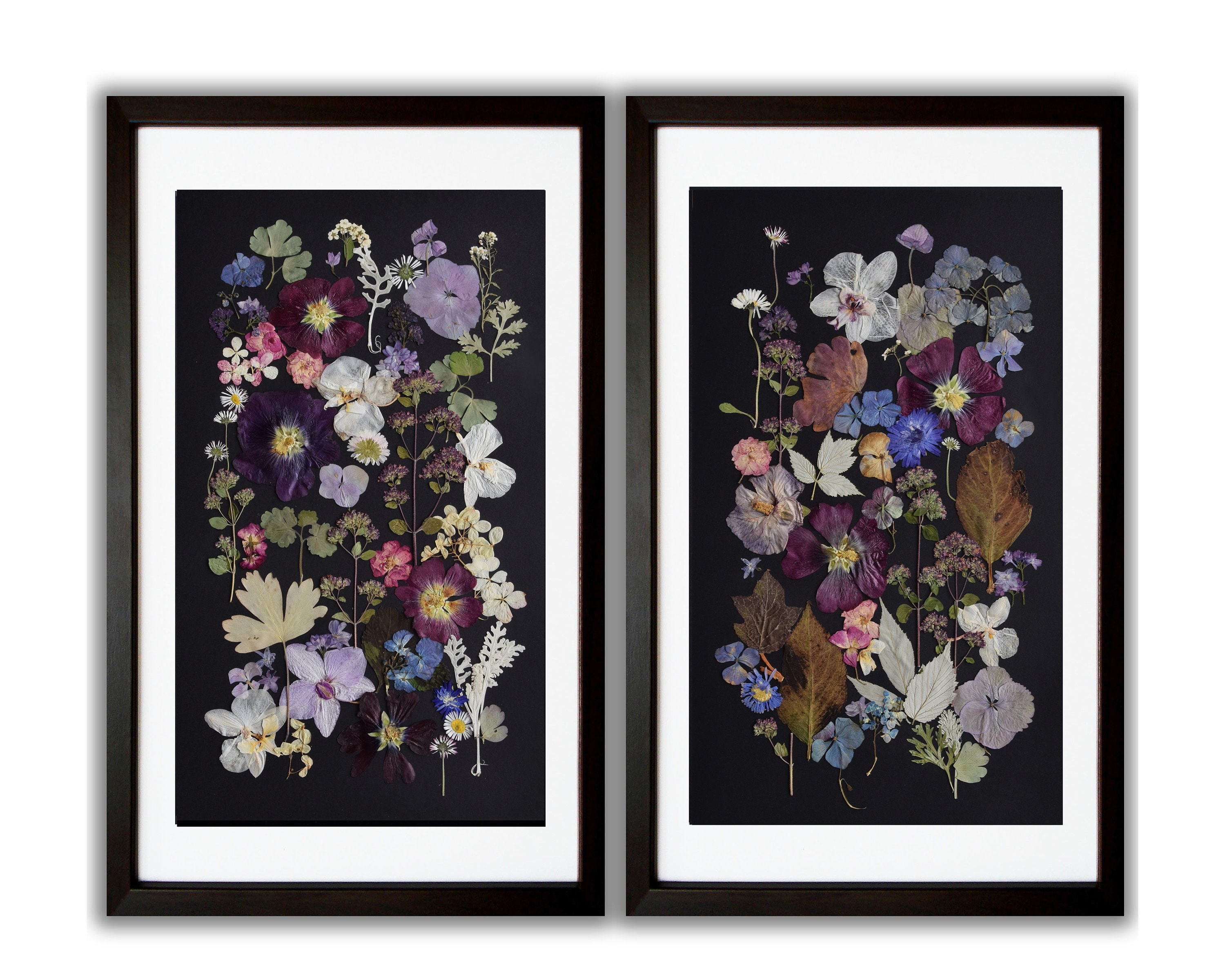 オリジナル植物標本セット押し花アート壁アート黒い紙に花の