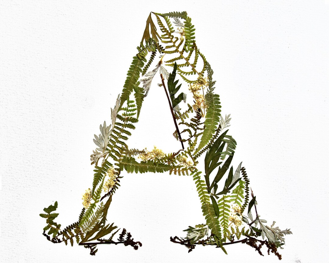 Wall Plants Decor Decor Botanical Alphabet Art Sign Flower Dried Letter Name Pressed Art - Art Letter Sign Capital Flowers Etsy Art Letter Flower