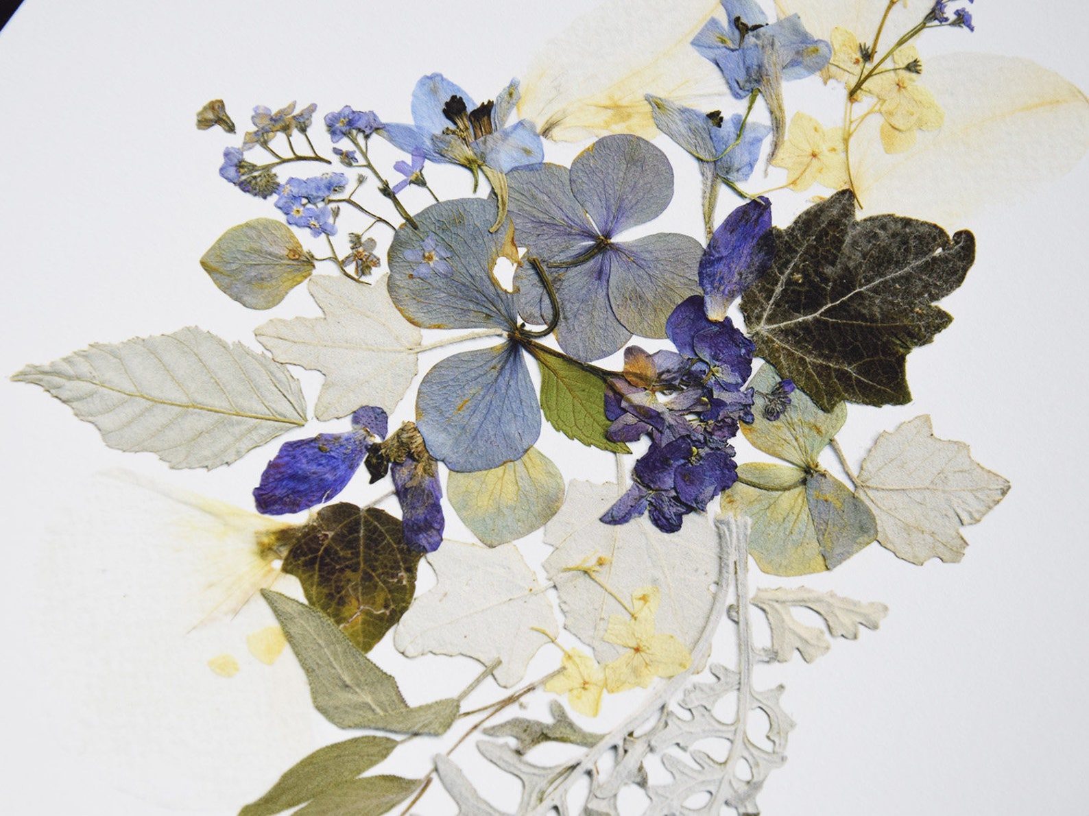 Pressed flower prints Set of 2 prints Contemporary art Dry Etsy