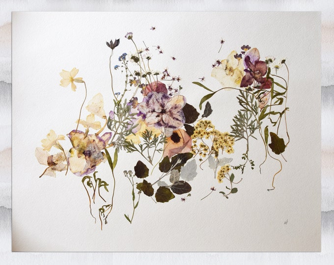 Pressed Flower Wall Art ORIGINAL Picture Pressed Plant Art Natural