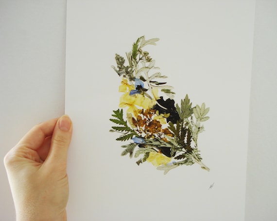  Blooming Beauty, Pressed Flower Print, Botanical Art, Dried Flowers  Wall Art, Herbarium,Inspired Floral Print, Decor Canvas, Art Decor :  Handmade Products