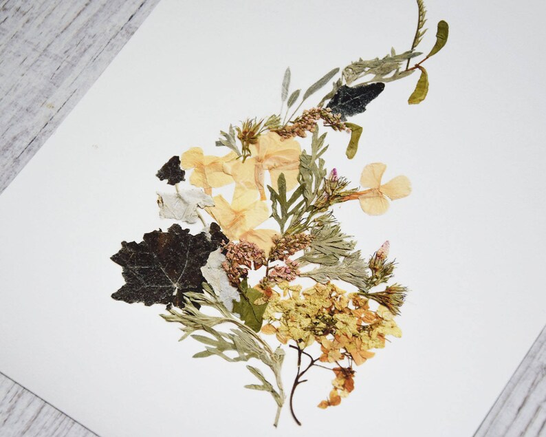 dried flowers art print 8x10 botanical print floral decor