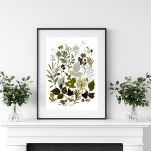 Stampa botanica pressata, arte murale con fiori secchi, stampa artistica di piante, pittura murale floreale, cornice per erbario, poster botanico, arte floreale