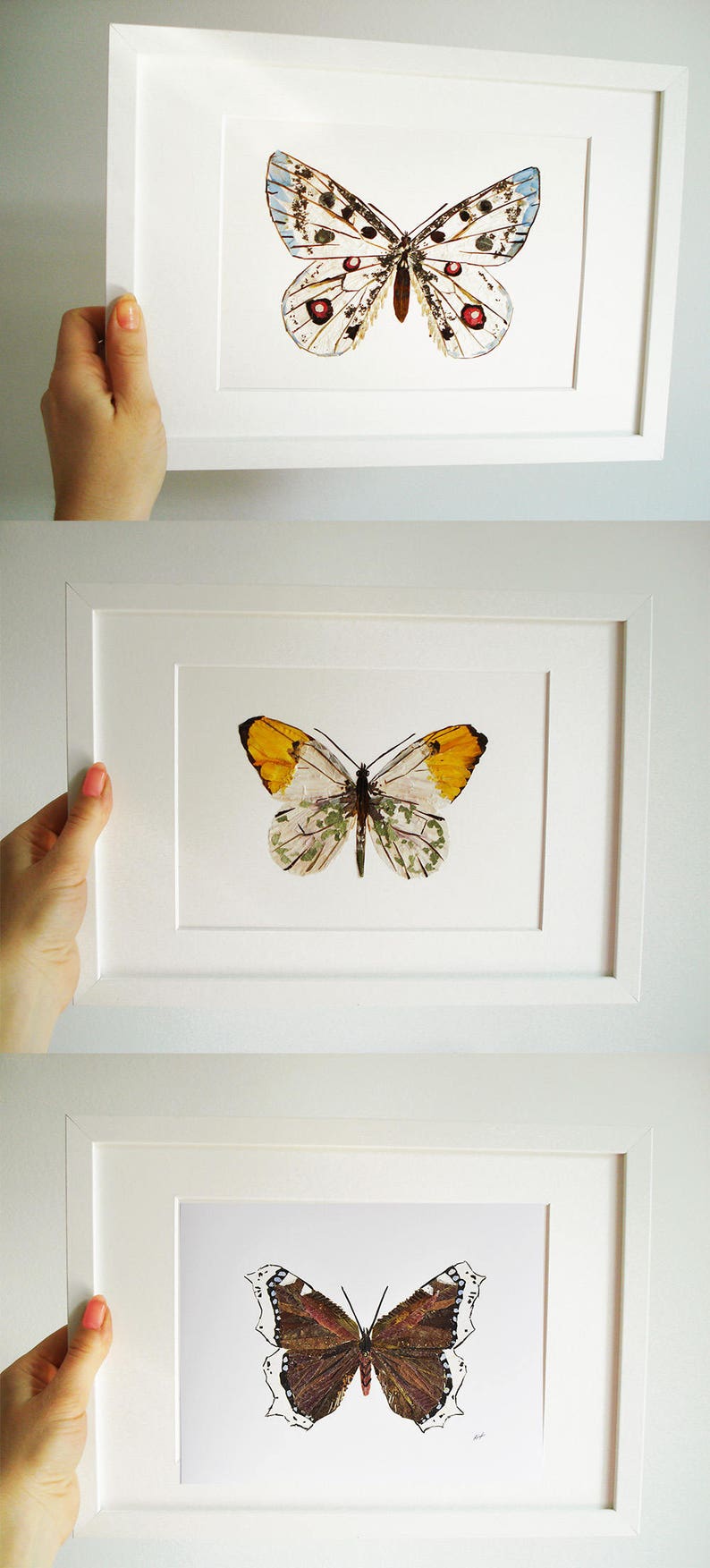 Print Botanical Butterfly Wall Art Pressed Flowers Butterfly Etsy