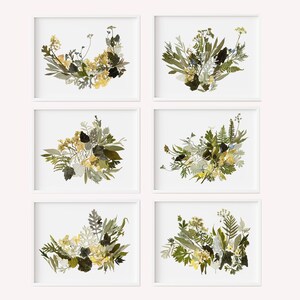 Set di stampe botaniche da 6 pezzi, Immagini di fiori secchi, Arte vegetale, Arte floreale, Fiori pressati, Set di stampe da parete con piante secche