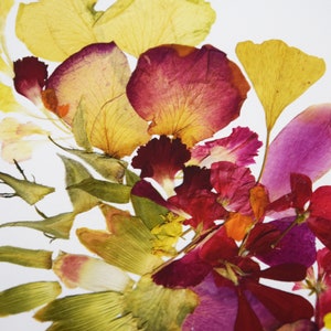 A collection of pressed flowers and leaves in shades of yellow, green, pink, and red. The flowers are arranged in a loose, organic pattern, with some petals overlapping. The leaves are mostly green, with some brown and yellow accents. The background is a plain white surface.
