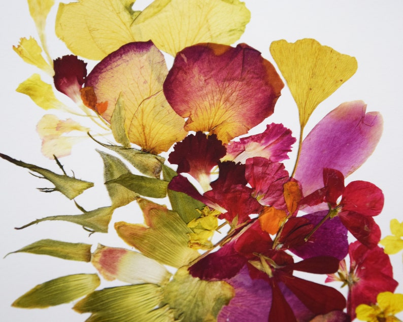 A collection of pressed flowers and leaves in shades of yellow, green, pink, and red. The flowers are arranged in a loose, organic pattern, with some petals overlapping. The leaves are mostly green, with some brown and yellow accents. The background is a plain white surface.