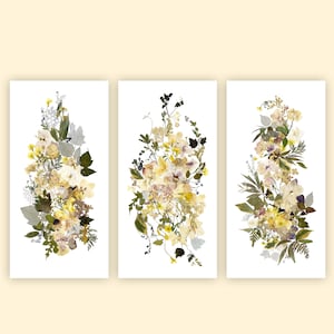 Stampe di fiori pressati Immagine di fiori secchi verticali Opere d'arte floreali su sfondo avorio provenienti da piante vere