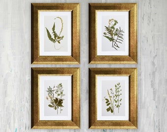 Set of 4 framed botanical prints  Flowers prints Pressed flowers art Flowers decor Plant art Botanical artwork Dried flowers Living room art