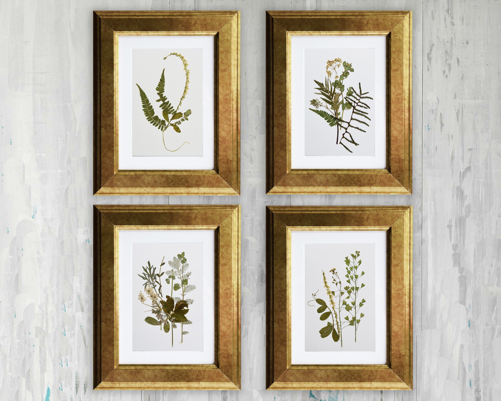 vogn Halvtreds kølig Set of 4 Framed Botanical Prints Flowers Prints Pressed - Etsy