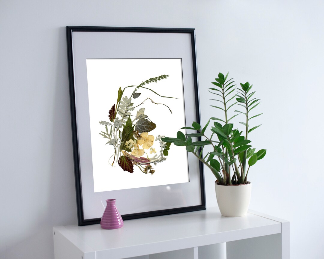 Botanical Print 8''x10'' Botanical Art Dried Flowers Herbarium Picture