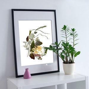 Botanical print 8&#39;&#39;x10&#39;&#39; Botanical art Dried flowers herbarium picture original herbarium dining room wall art flower art Plant art