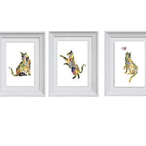 Puede incluir: Tres marcos de fotos blancos con un dise&ntilde;o de gato floral en cada uno. El gato del marco de la izquierda est&aacute; sentado, el gato del marco del medio est&aacute; saltando y el gato del marco de la derecha est&aacute; mirando hacia arriba a una mariposa.