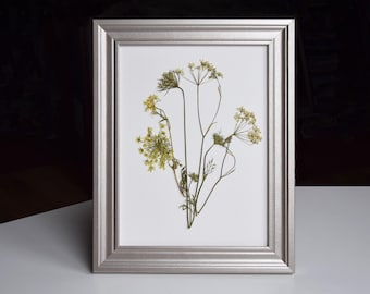 Herbarium set of 2 framed, Pressed flower art, dried plants in silver frames, set of 2 framed artworks, plant pictures, floral art decor