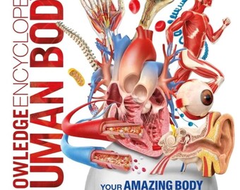 Körperführer: Kinder Anatomie und Biologie (Digitaler Download)