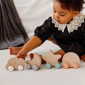 Wooden Rolling Push Toy: Waldorf Toys Celestial Bodies- Cloud, Star, Sun, Moon