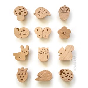 Può includere: Set di 12 ornamenti in legno con vari disegni ispirati alla natura, tra cui un fungo, una foglia, una ghianda, una farfalla, un fiore, una lumaca, un coniglio, un gufo, uno scoiattolo, una fragola, un riccio e una coccinella.