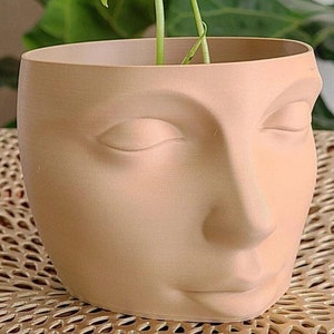 Face Planter Gift Housewarming Present Head Planter Home Decor Face Planter Indoor  Pots