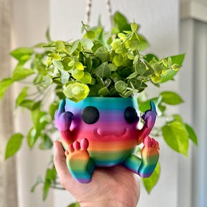 May include: A colorful, rainbow-striped planter with a cartoonish face and hands giving the middle finger. The planter holds a vibrant green plant. The planter is held in a person's hand.