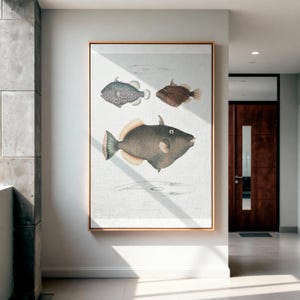 Vintage fisktryckillustration - 1831 Triggerfish-affisch, vetenskaplig marin väggkonst, kustdekor, naturhistorisk gåva